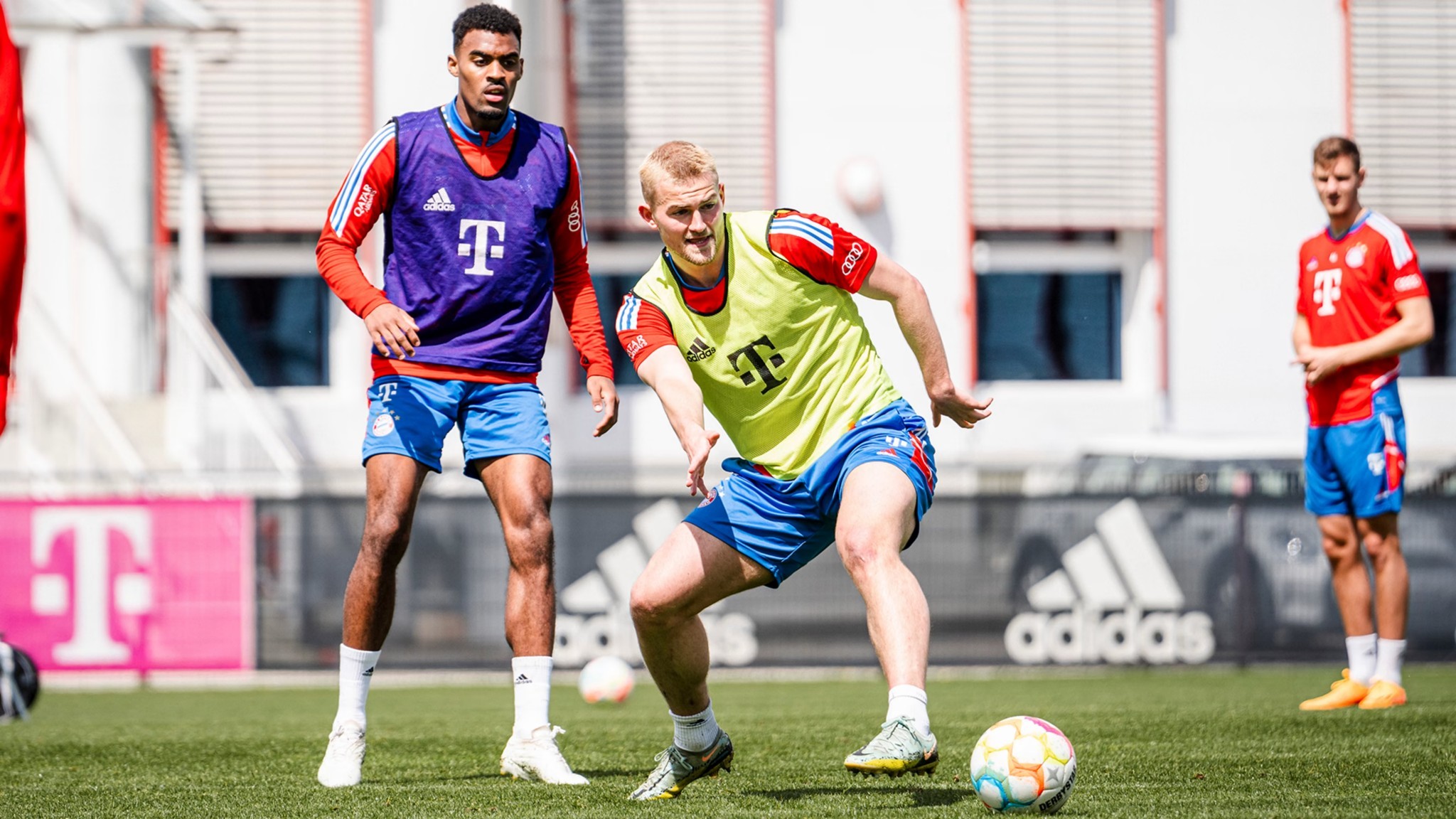 东莞佳迪新材料画册设计案例欣赏