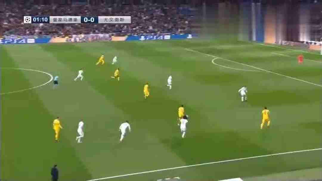 猫粮包装设计_东莞产品包装盒设计