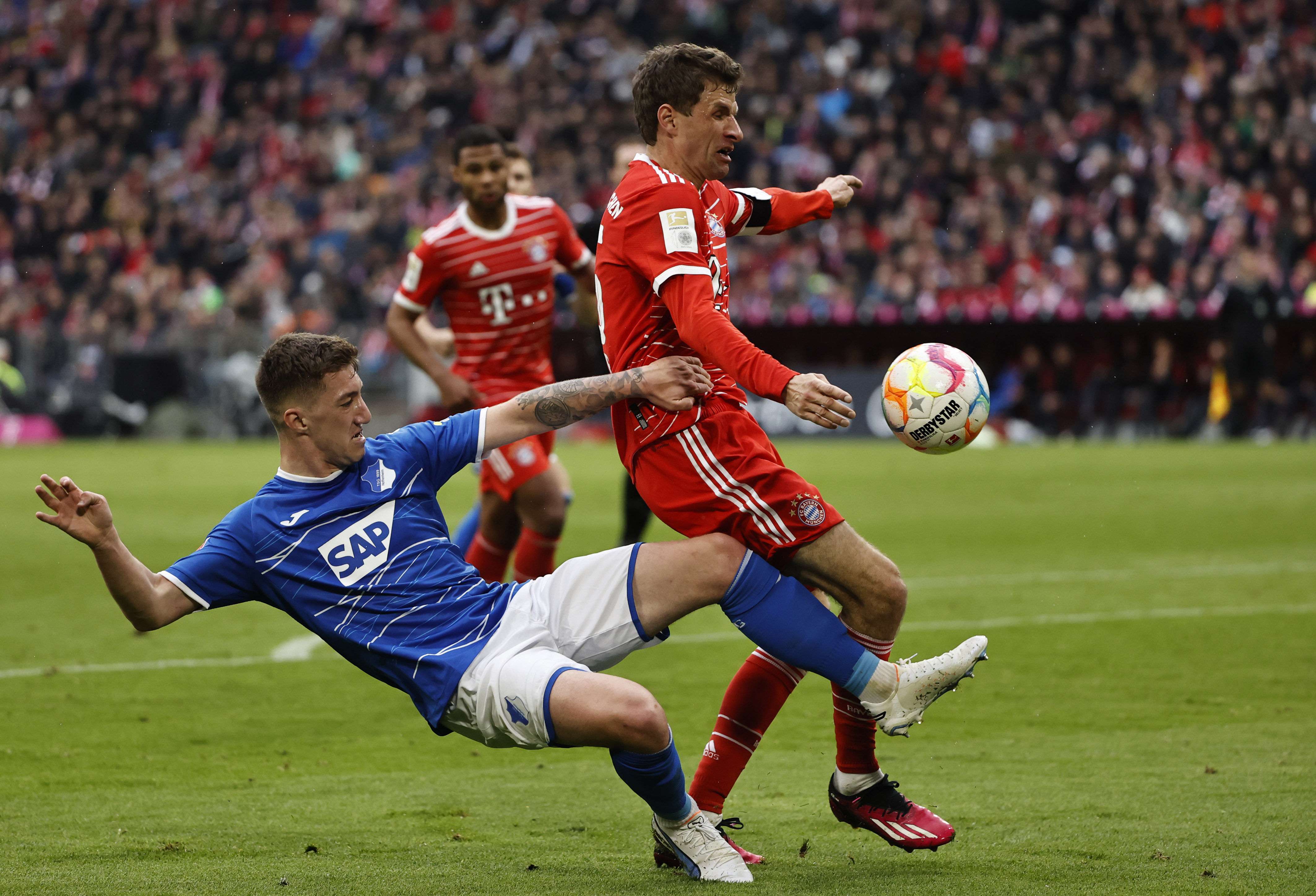 奥尔佳环保材料宣传册设计欣赏-东莞品牌设计